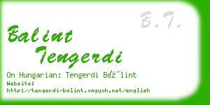 balint tengerdi business card